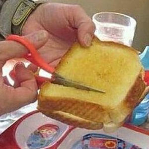 Meet your Posher, Bo